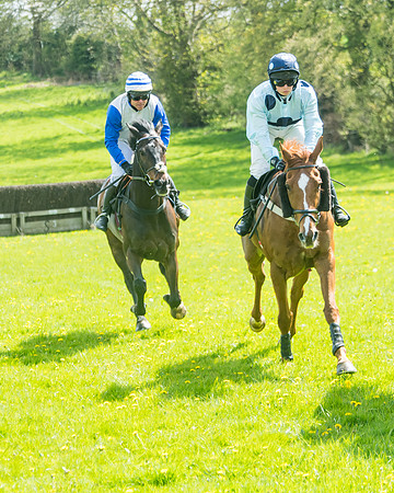Race 2 - Veteran Horse  (38 of 82)