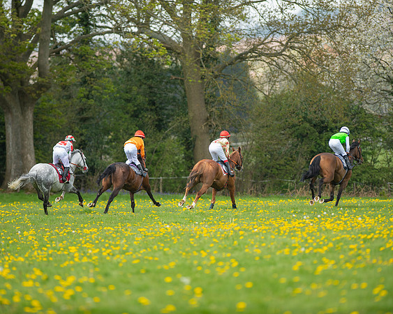 Ponies and Side saddle (54 of 69)