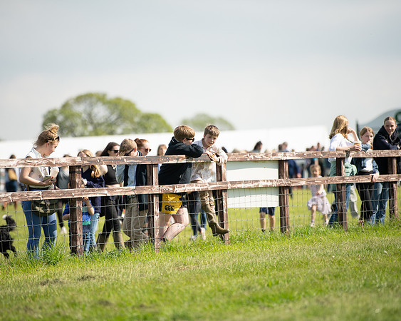 Race 4 - PPORA Novice Riders  (10 of 203)