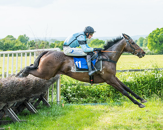 Race 6 - Open Maiden (232 of 346)