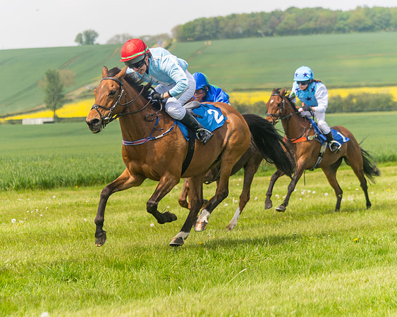 Pony Race 1 - 138cm (46 of 74)
