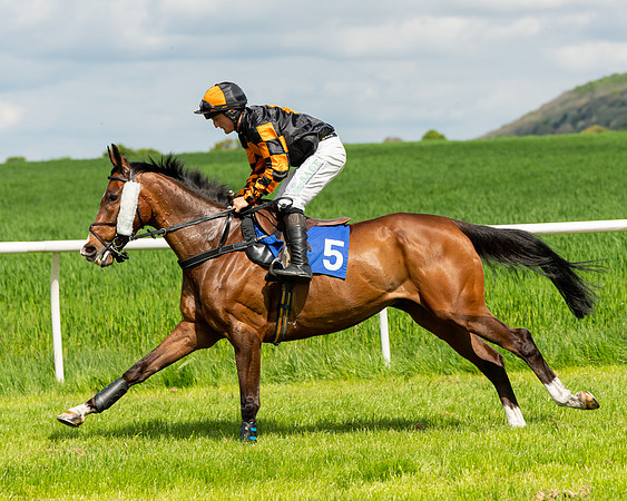 Race 1 - The Condiitions race (28 of 123)