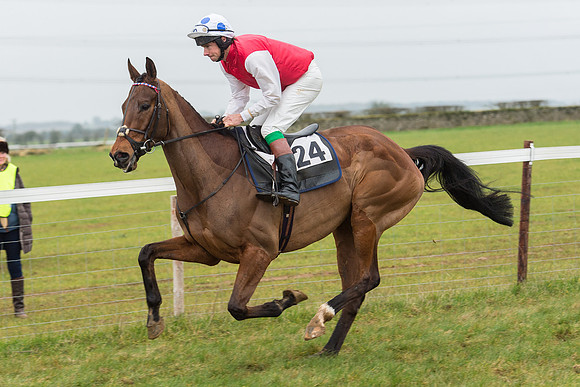 Race 6 - Open Maiden Race Div 1  (14 of 90).jpg