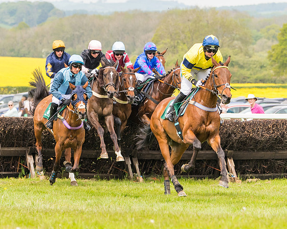 Race 2 - Owner-Trainer Conditions  (79 of 208)