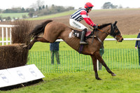 Race 1 - Young Horse Maiden (15 of 50).jpg