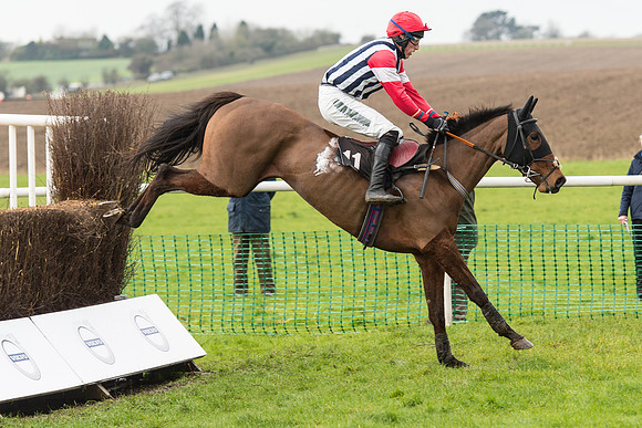 Race 1 - Young Horse Maiden (15 of 50).jpg