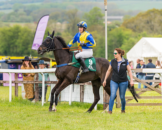 Race 7 - Veteran Horse conditions (48 of 244)