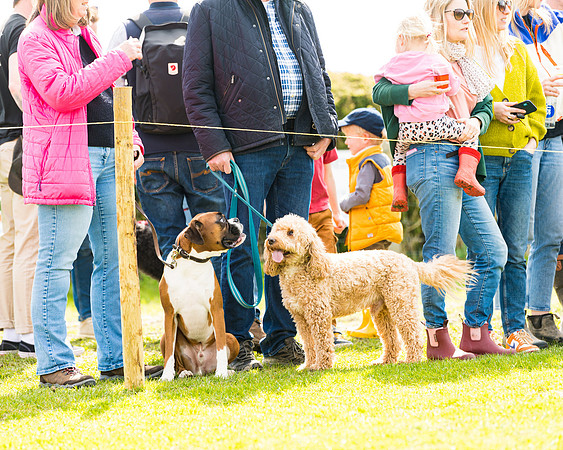 Dog show etc (87 of 157)