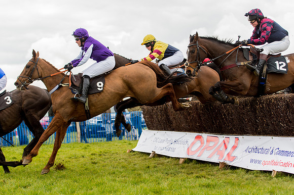 Race 2 - Novice and Veterans   (57 of 101)-2.jpg
