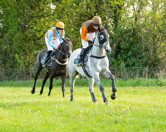 Race 7 - Maiden  (6 of 113)
