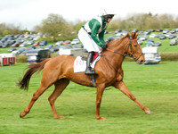Race 5 - Restricted  13