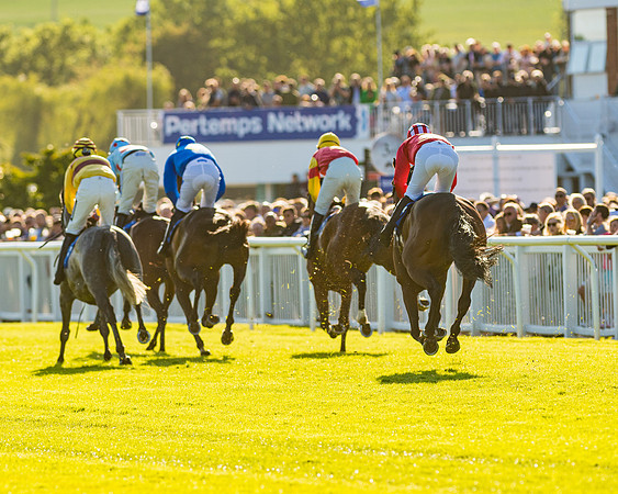Race 3 - John Corbet Cup (79 of 127)