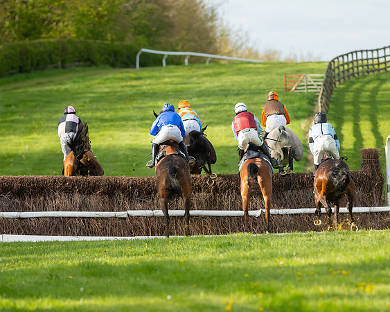 Race 7 - Maiden  (44 of 113)