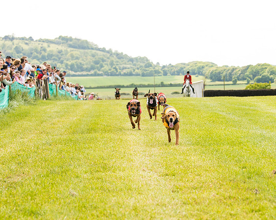 Draghounds Race (86 of 212)