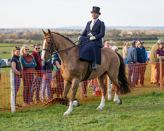 Side Saddle dash  (2 of 170)
