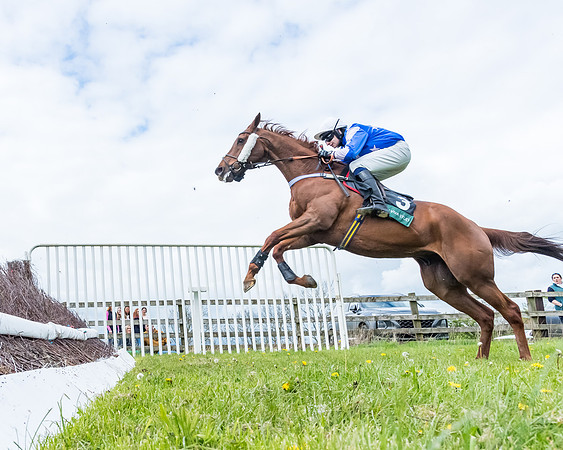 Race 2 - ROR and veteran Horse Conditions race (22 of 77)