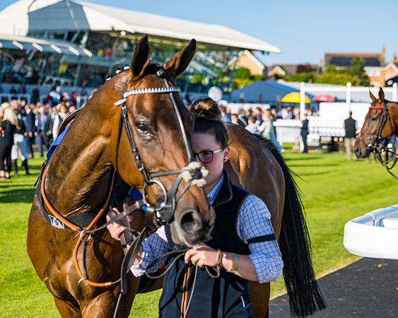 Race 3 - John Corbet Cup (17 of 127)