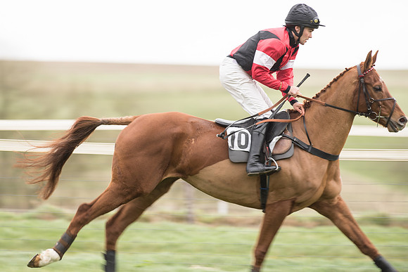 Race 2 - MAres Maiden (12 of 61).jpg