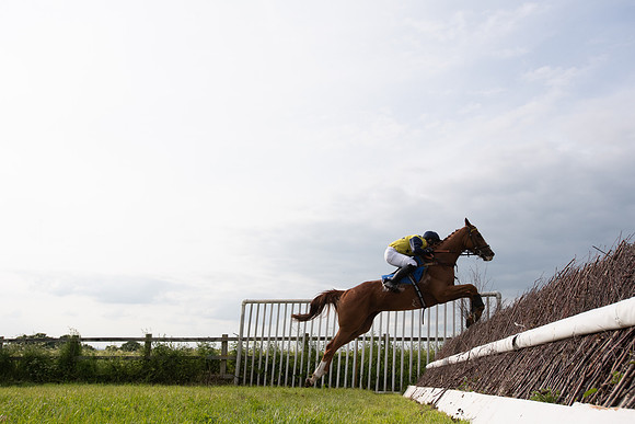 Race 6 - Open Maiden (181 of 346)