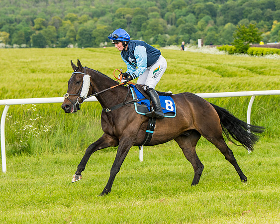 Race 4 - Mixed Open  (123 of 461)