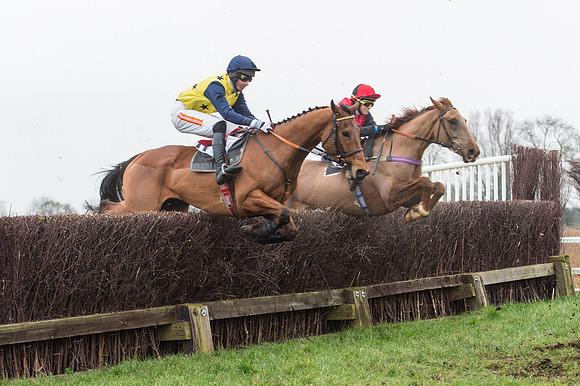 Race 7 - Young Horse Maiden  (31 of 64).jpg