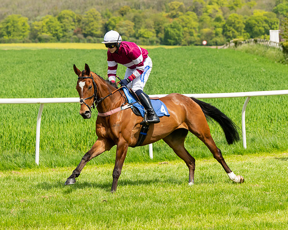 Race 1 - The Condiitions race (34 of 123)