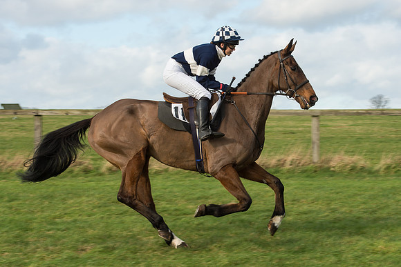 Race 3 - PPORA Members Novice Riders (33 of 84).jpg
