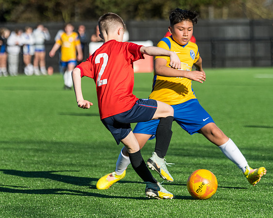 Flackwell Heath vs Carmel (U12)-Beaconsfield Town vs Carmel (U11)  (567 of 742)