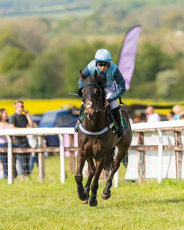 Race 5 - Restricted  (16 of 164)