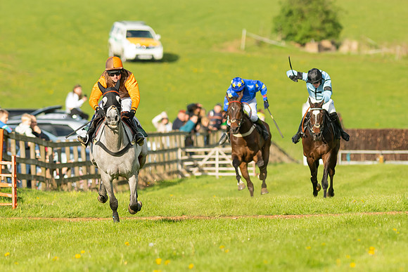 Race 7 - Maiden  (84 of 113)