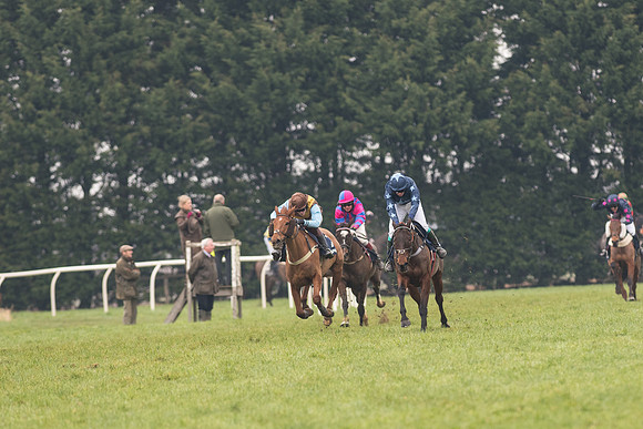 Race 5 - The Restricted Race (59 of 86).jpg