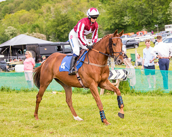 Race 6 - Open Maiden (74 of 346)