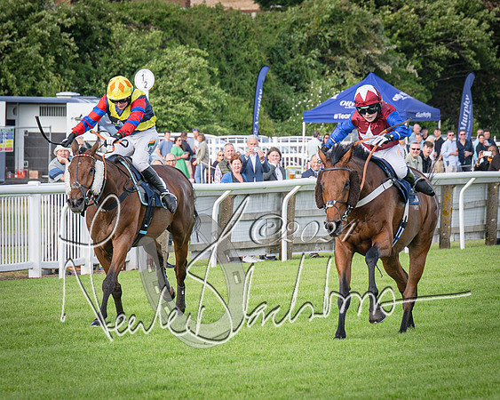 Race 2 - Olly Murphy Racing Stratford Ladies Open (87 of 111)