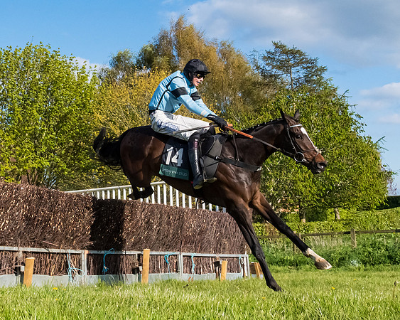 Race 7 - Maiden  (78 of 113)
