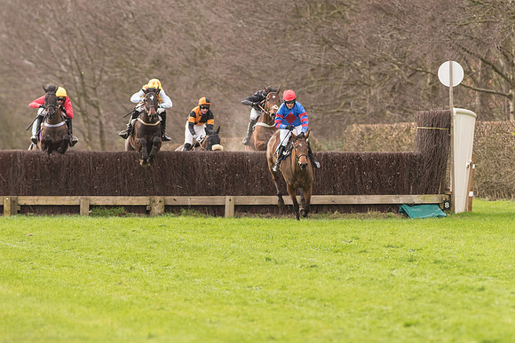 Race 2 - Young Horse Maiden (63 of 110).jpg
