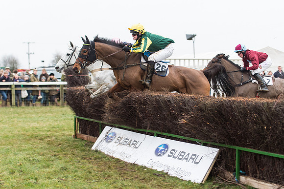 Race 6 - Open Maiden Race Div 2  (51 of 118).jpg