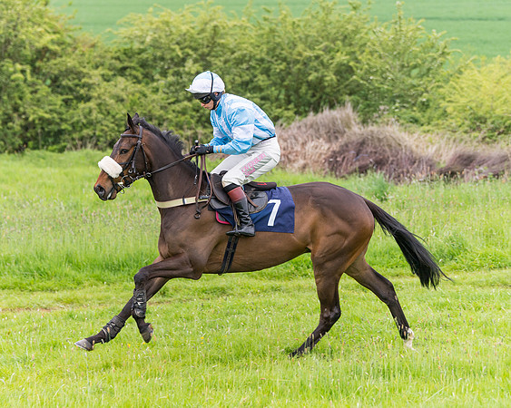Race 6 - Maiden (6 of 129)