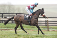 Race 5 - The Intermediate (16 of 59).jpg
