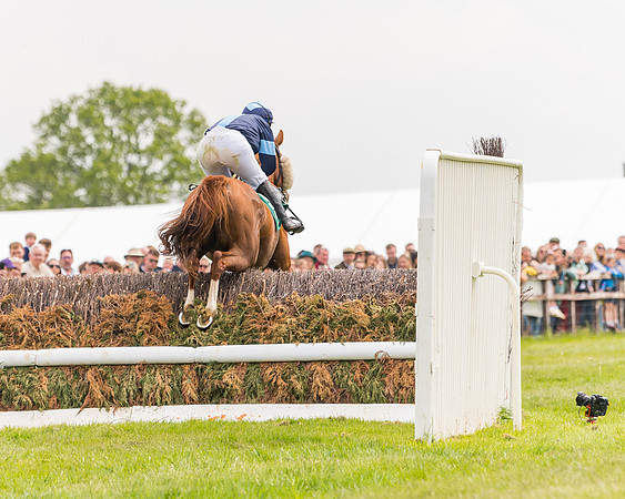 Race 2 - Owner-Trainer Conditions  (89 of 208)