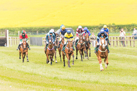 Race 2 - Owner-Trainer Conditions  (67 of 208)