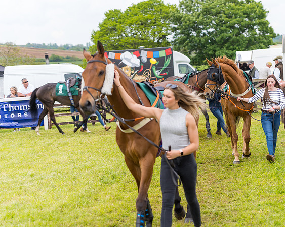 Race 7 - Veteran Horse conditions (19 of 244)