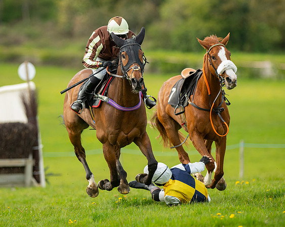 Race 5 - Open Maiden  (55 of 89)