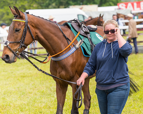 Race 2 - Owner-Trainer Conditions  (7 of 208)