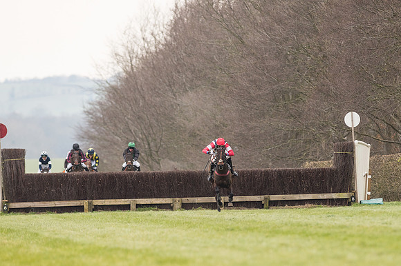 Race 2 - PPORA Novice riders  (128 of 186).jpg