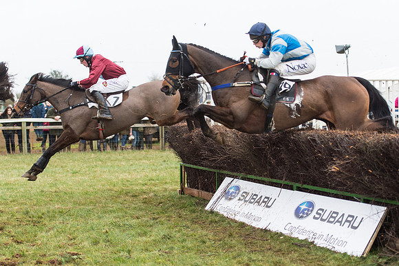 Race 6 - Open Maiden Race Div 2  (54 of 118).jpg