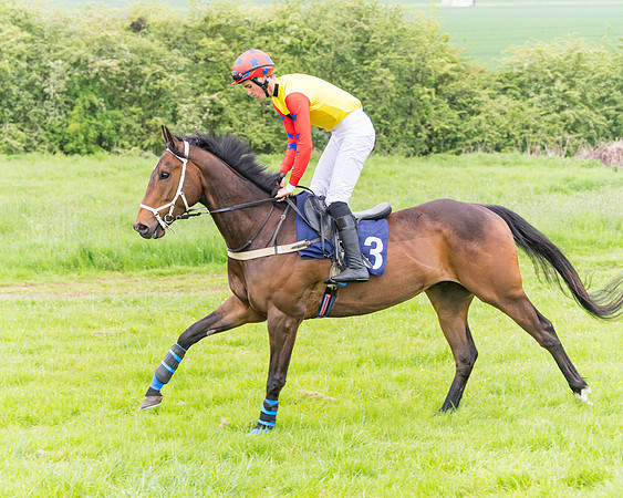 Race 6 - Maiden (26 of 129)