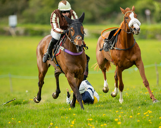 Race 5 - Open Maiden  (59 of 89)