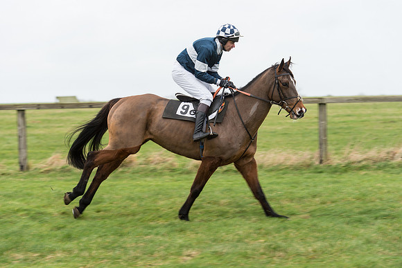 Race 7 - Open Maiden (9 of 131).jpg