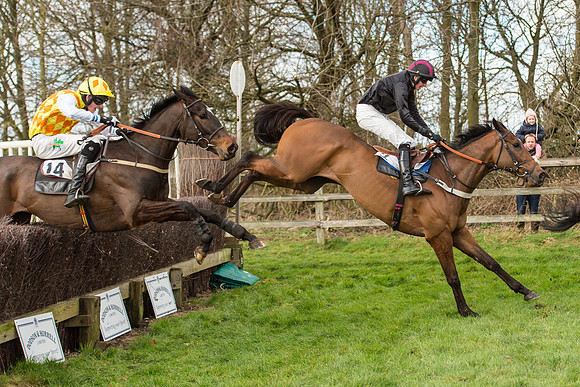 Race 2 - Young Horse Maiden (85 of 110).jpg