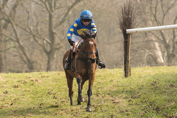 Pony Race 2 -  (28 of 32).jpg